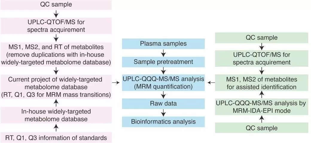 TM Widely-Targeted Metabolomics approach